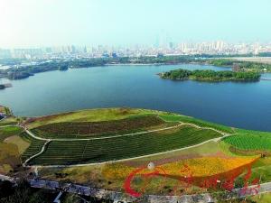 “南粤曦景”亮相广州园博会(图1)