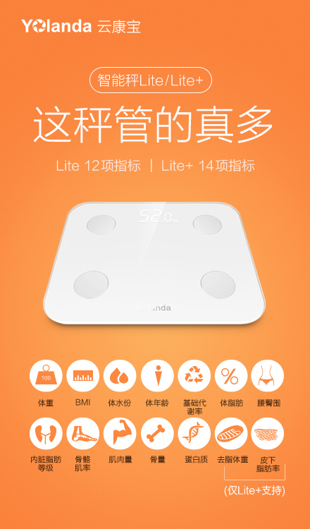 云康宝体脂秤